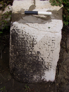 An imported bowl characteristic of the Hellenistic period. The bowl was found in a layer of harbor sludge. This layer contained thousands of intact pottery vessels, potsherds, etc.