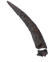 Iron Sickle from Ashdod, Iron Age II