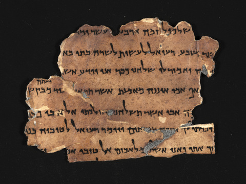 The Tobit scroll, one of the books of the Apocrypha, from second temple times. Photograpic Credit: Shai Halevi, Courtesy of the Israel Antiquities Authority