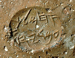 טביעות חותם ממלכתיות, צילום: מריאנה סלצברגר, רשות העתיקות