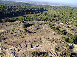 Aerial photograph of the site. Photographic credit: Skyview ltd.