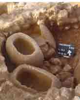 Burial Structures at Palmahim