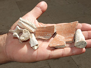 finds that included fragments of ceramic table wares and animal bones