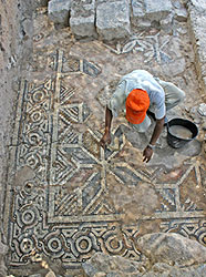 Uncovering the mosaic