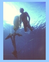 Diver raising iron anchor from the sea