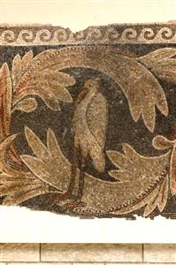 Fragment Mosaic Floor With Vegetal Decoration  
 Photographer:Clara Amit