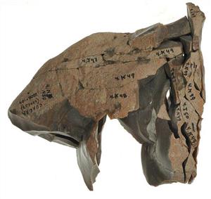 Refitted core (flint)
Photographer:Salzberger Mariana