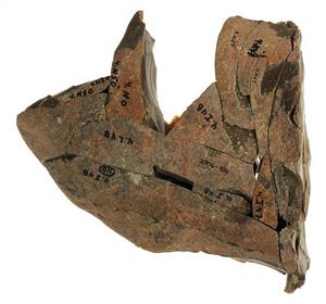 Refitted core (flint)
Photographer:Salzberger Mariana