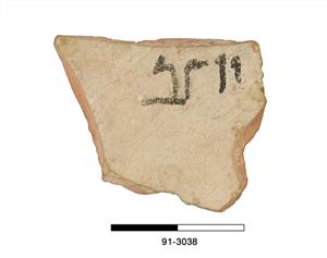 אוסטרקון עברי
צלם:לא ידוע