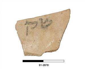 אוסטרקון עברי
צלם:לא ידוע