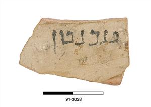 אוסטרקון עברי
צלם:לא ידוע