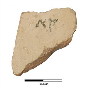 אוסטרקון עברי
צלם:לא ידוע