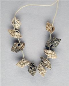 Necklace Red Sea Shell
Photographer:Clara Amit