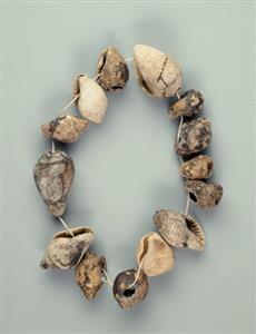 Necklace Red Sea Shell
 Photographer:Clara Amit