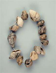 Necklace Red Sea Shell
Photographer:Clara Amit