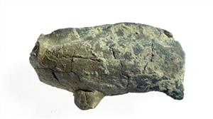 צלמית דמויית בעל חיים
 צלם:עמית קלרה