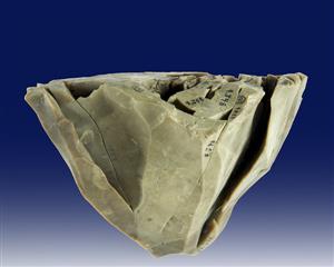Refitted core (flint)
Photographer:Clara Amit