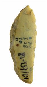 סהרון (Lunate)
 צלם:עמית קלרה