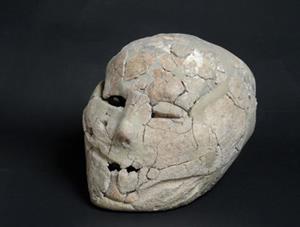 Plastered Human Skull
 Photographer:Clara Amit