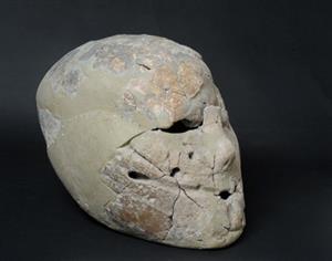Plastered Human Skull
 Photographer:Clara Amit