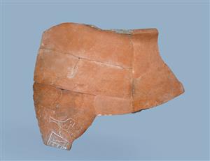 Body Sherd Jar Egyptian
 Photographer:Clara Amit