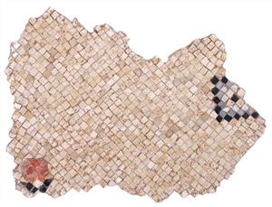 Fragment Mosaic Floor   
 Photographer:Davidov Nicky
