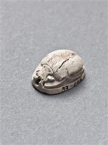 Scarab Hyksos 
 Photographer:Meidad Suchowolski