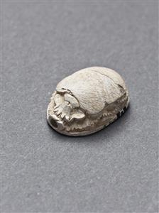 Scarab Hyksos 
 Photographer:Meidad Suchowolski