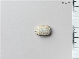חרפושית היקסוסית
צלם:מידד סוכובולסקי