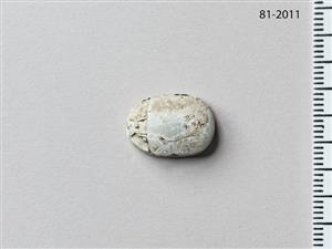 חרפושית
צלם:מידד סוכובולסקי