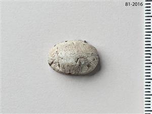חרפושית היקסוסית
צלם:מידד סוכובולסקי