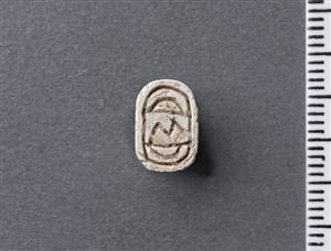 חרפושית היקסוסית
צלם:מידד סוכובולסקי