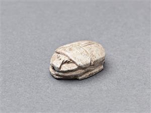 חרפושית
צלם:מידד סוכובולסקי
