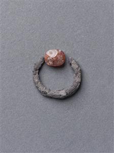 טבעת חותם חרפושית 
 צלם:מידד סוכובולסקי