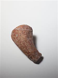 רגל צלמית   
 צלם:מידד סוכובולסקי