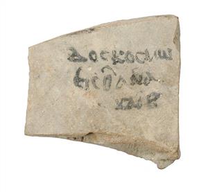 אוסטרקון יווני
צלם:לא ידוע