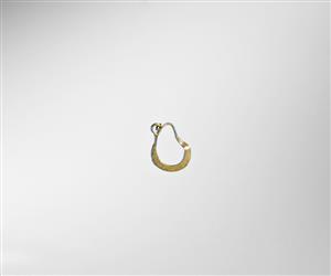Earring  
 Photographer:Meidad Suchowolski