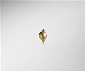 Earring  
 Photographer:Meidad Suchowolski