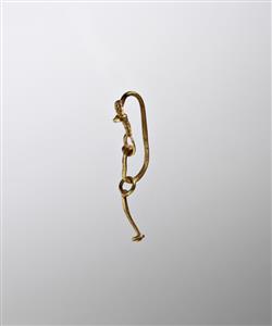Earring  
 Photographer:Meidad Suchowolski