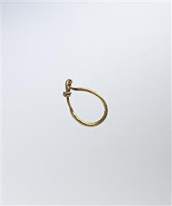 Earring  
 Photographer:Meidad Suchowolski