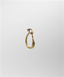Earring  
 Photographer:Meidad Suchowolski