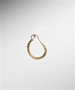 Earring  
 Photographer:Meidad Suchowolski