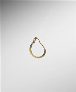 Earring  
 Photographer:Meidad Suchowolski