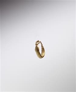 Earring  
 Photographer:Meidad Suchowolski
