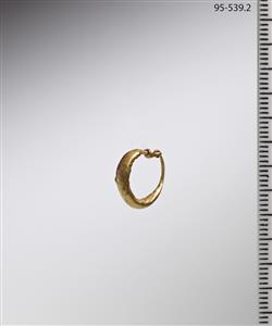 Earring  
 Photographer:Meidad Suchowolski
