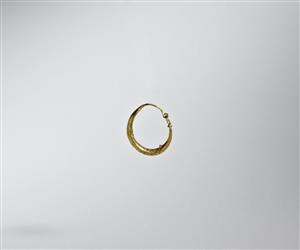 Earring  
 Photographer:Meidad Suchowolski