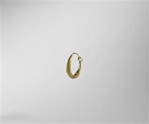 Earring  
 Photographer:Meidad Suchowolski