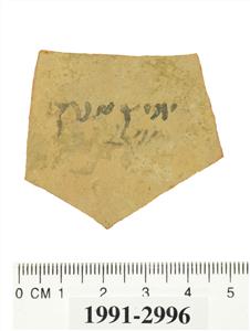 אוסטרקון עברי
צלם:עמית קלרה