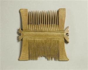 Comb
Photographer:Clara Amit