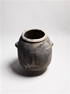 קנקנית (Small Jar)
צלם:מידד סוכובולסקי